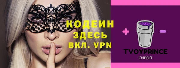 твердый Протвино