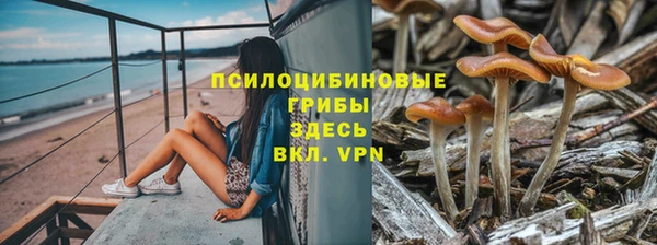 твердый Протвино