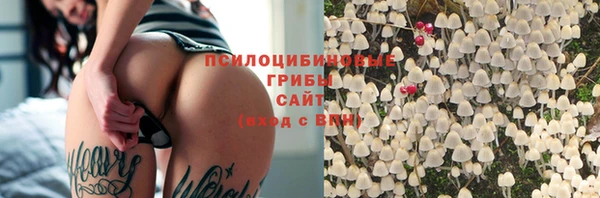твердый Рославль