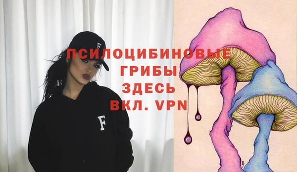 твердый Протвино