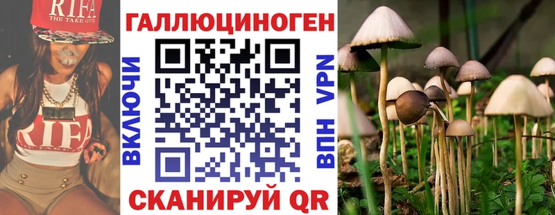 Псилоцибиновые грибы Cubensis  Выборг 