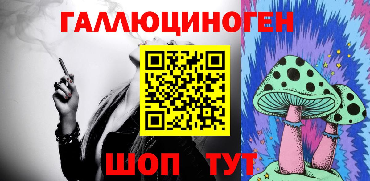 Выборг  Псилоцибиновые грибы прущие грибы  Псилоцибиновые грибы MAGIC MUSHROOMS  Вход с VPN 