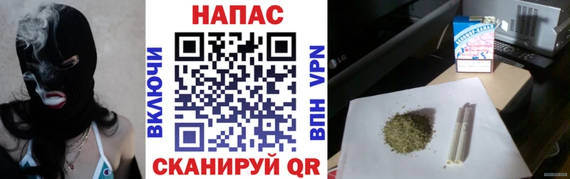 Шишки марихуана семена  площадка наркотические препараты  Выборг 